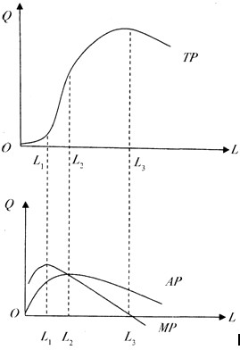 2011м(jng)м(jng)A(ch)A(y)(x)vx(6)