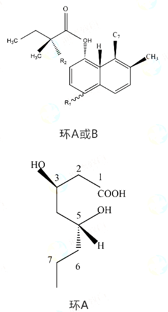 2019(zh)I(y)ˎˎW(xu)I(y)֪R(sh)һ}()