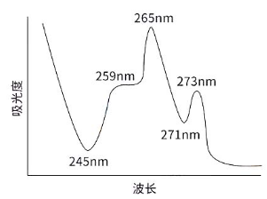 2019(zh)I(y)ˎˎW(xu)I(y)֪R(sh)һ}()