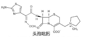 2024(zh)I(y)ˎˎһ}𰸽棩